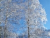 20171220_132526
